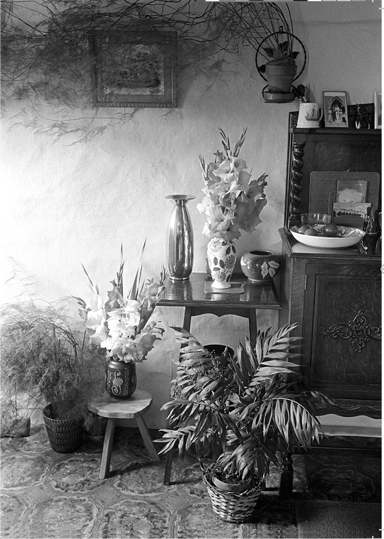 Cottage Interior, Monkokehampton, 1986