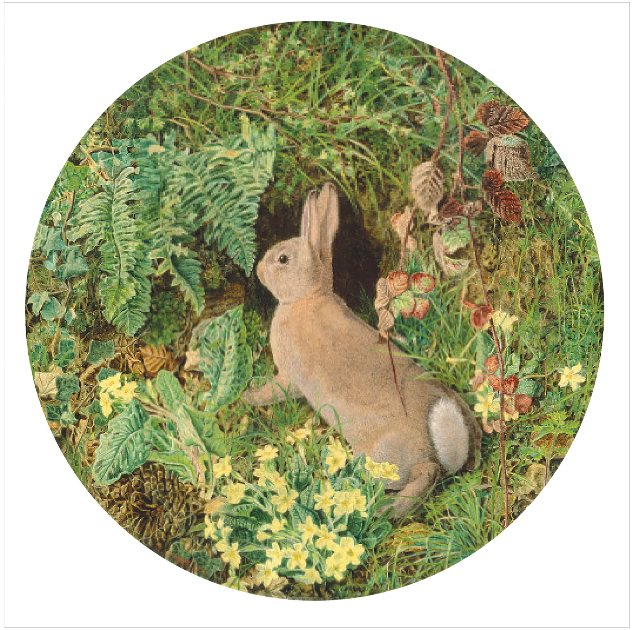 Rabbit amid Ferns and Flowering Plant