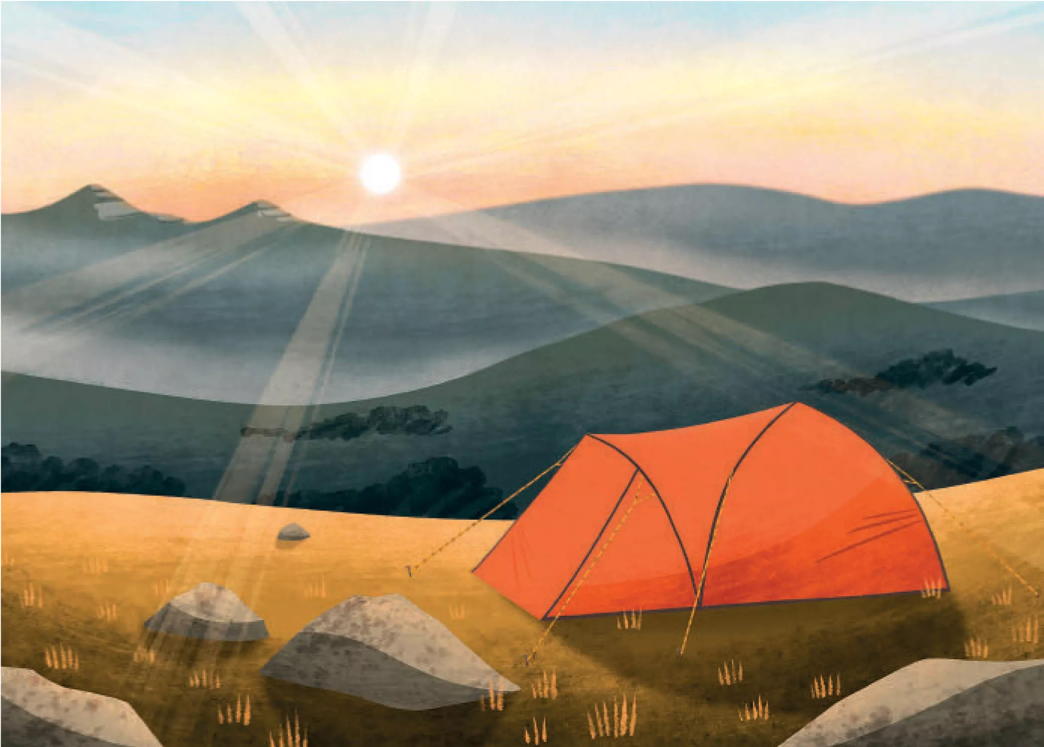 Dartmoor Camping