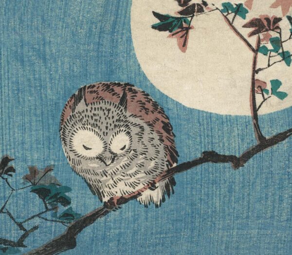 Small Horned Owl on Maple Branch under Full Moon