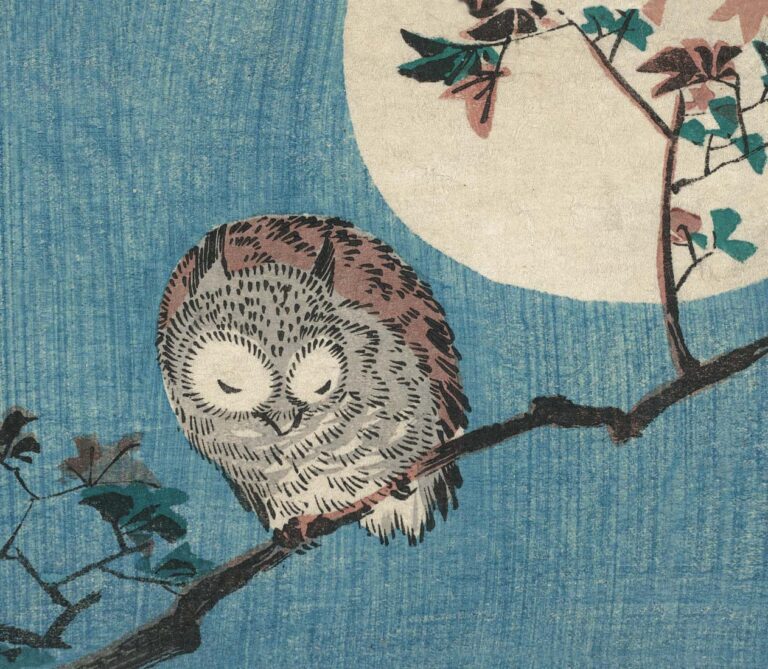 Small Horned Owl on Maple Branch under Full Moon