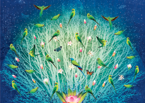 Parrots by Night