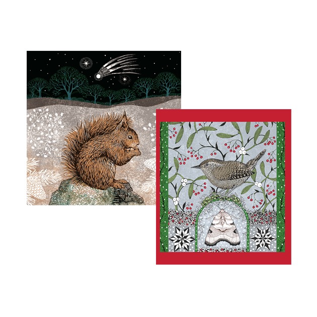 CPRE CHRISTMAS CARD 6 PACK - Wren and Moth with Mistletoe & Red Squirrel with Comet