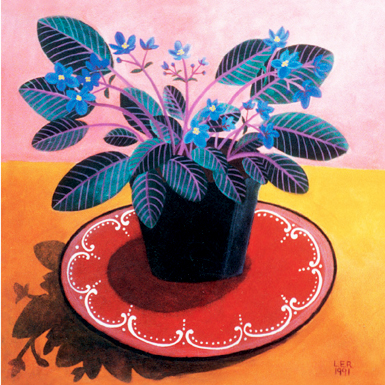 African Violets
