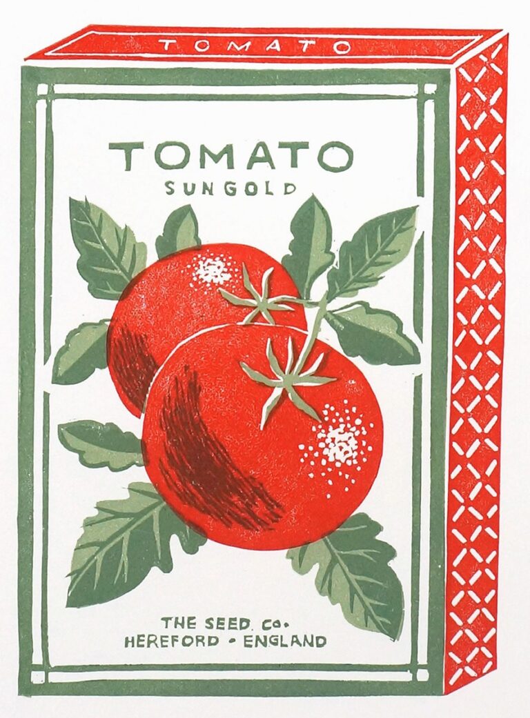 Tomato Sun Gold (card only, no seeds inside)