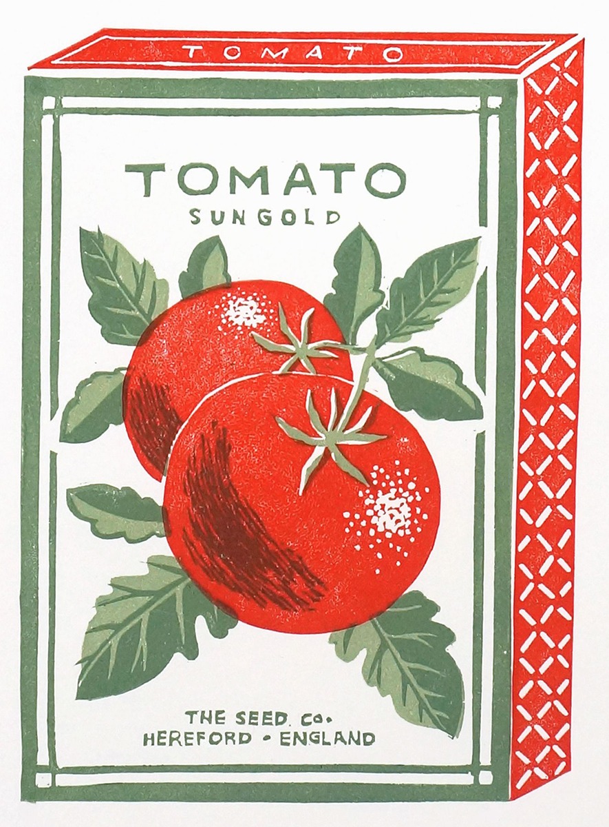 Tomato Sun Gold (card only, no seeds inside) 1 Tomato Sun Gold (card only, no seeds inside) Tomato Sun Gold (card only, no seeds inside)