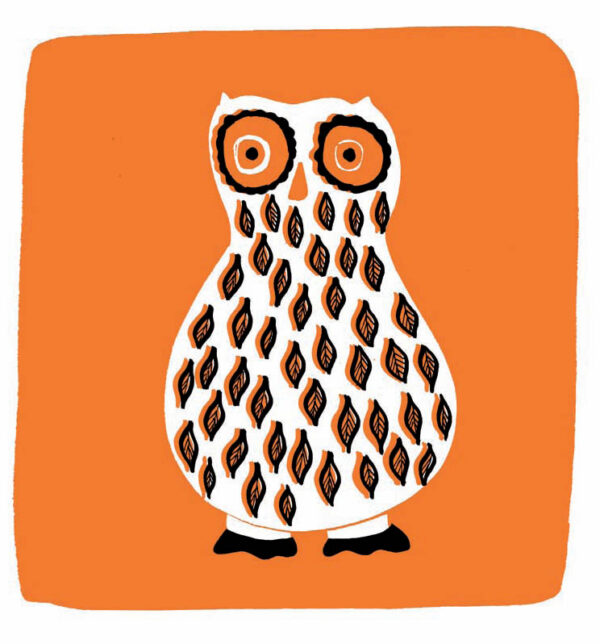 Owl