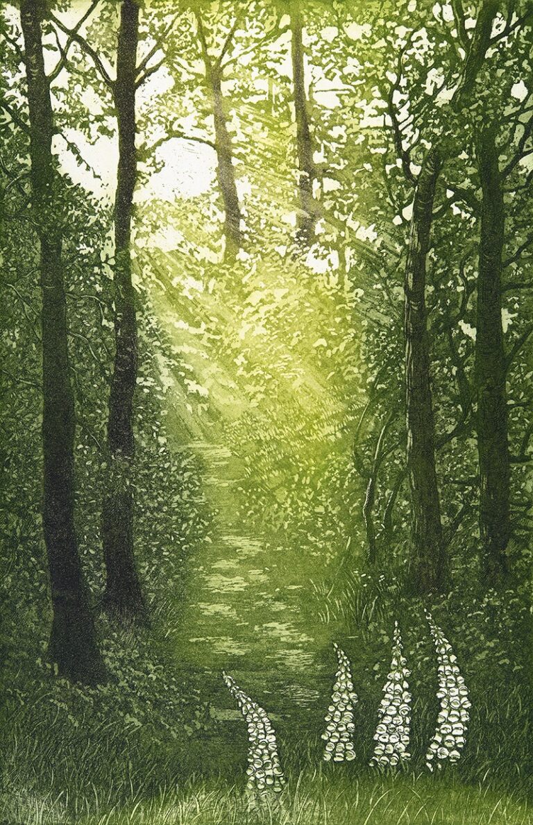 Woodland Glade