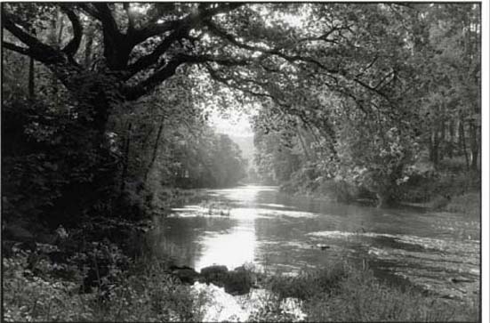 River Torridge