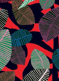 Wild Pocket Print Small Card