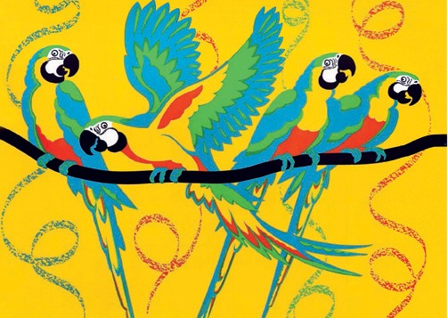 Macaw Carnival!