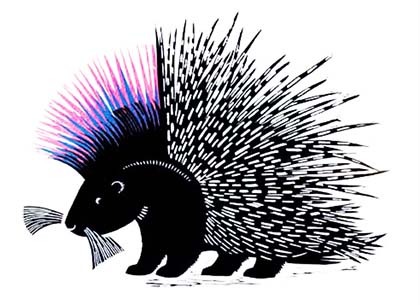 Punky Porcupine