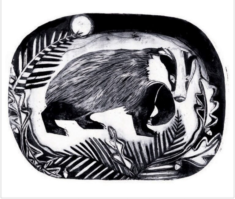 Badger