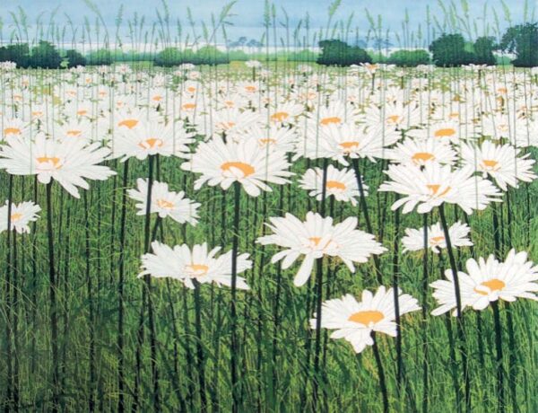 Daisy