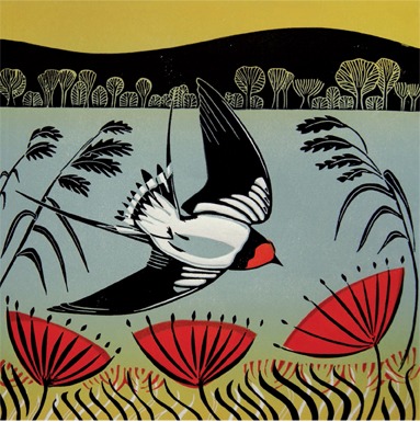 Swooping Swallow