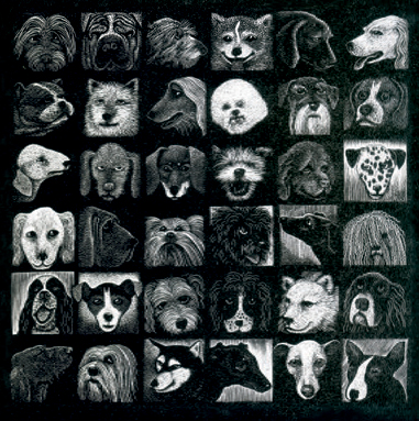 Dog Show