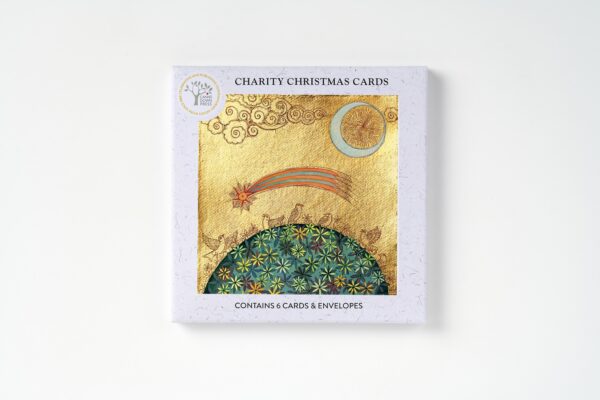 AGBI CHRISTMAS CARD PACK - Shooting Star - Image 2