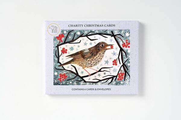 AGBI CHRISTMAS CARD PACK - Song Thrush with Berries - Image 2