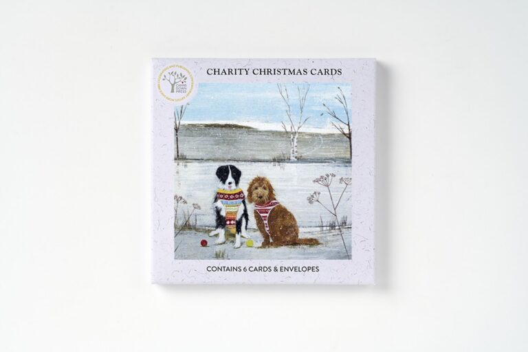 AGBI CHRISTMAS CARD PACK - Christmas Jumpers