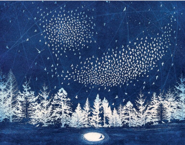AGBI CHRISTMAS CARD PACK - The Starry Messenger