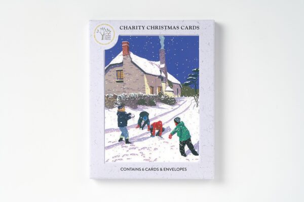 AGBI CHRISTMAS CARD PACK - Snow - Image 2