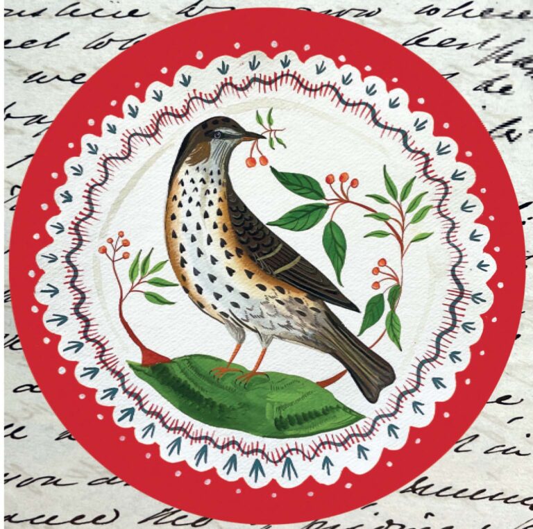 AGBI CHRISTMAS CARD PACK - Mistle Thrush