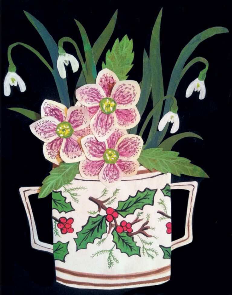 AGBI CHRISTMAS CARD PACK - Hellebores and Snowdrops