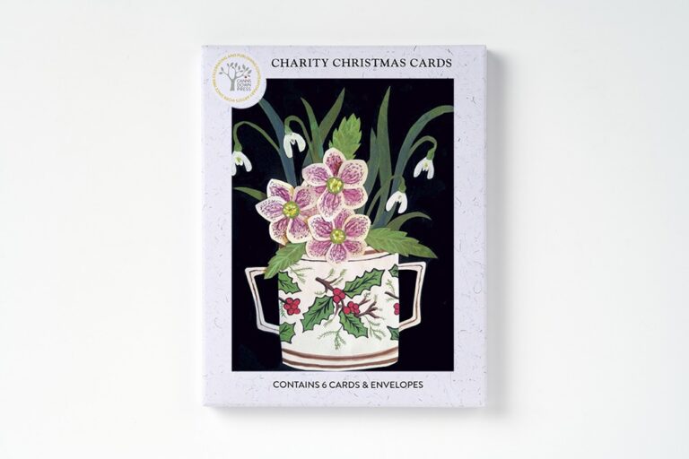 AGBI CHRISTMAS CARD PACK - Hellebores and Snowdrops