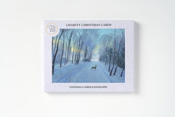 AGBI CHRISTMAS CARD PACK - Snow in the Morning - Image 2
