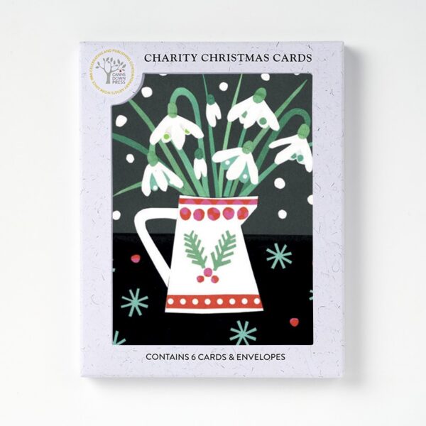 AGBI CHRISTMAS CARD PACK - Snowdrops