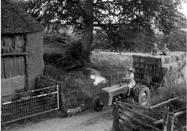 Haymaking, Hatherleigh, 1977