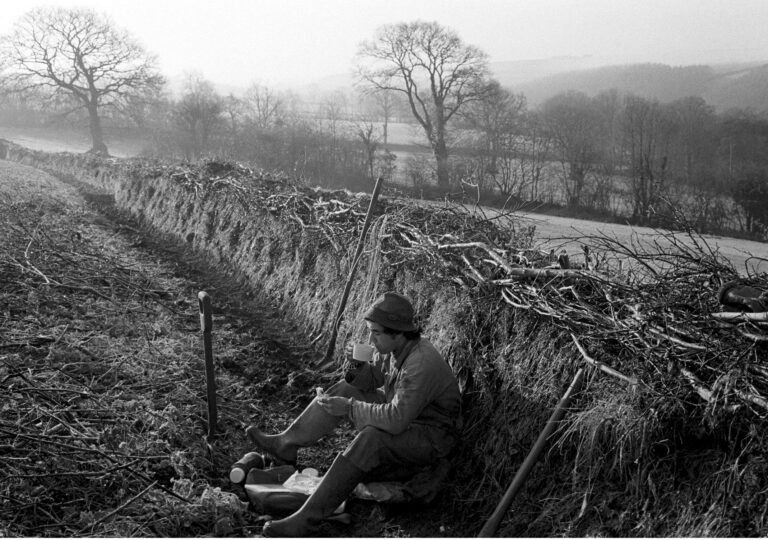 Hedger's Lunch Break: Stephen Squire, Dolton, 1980